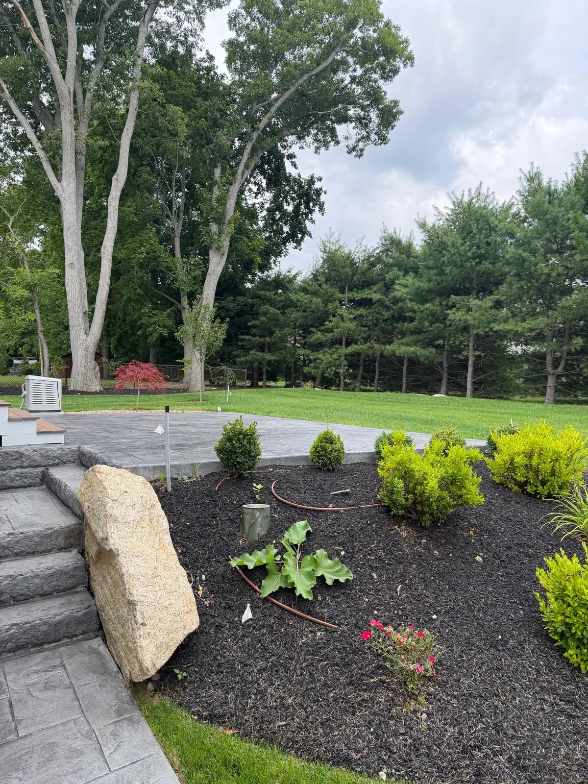 Rear yard after final grading with new lawn, planting beds and a set granite boulder.